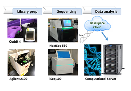 Image showing the equipment used in the process of genomics