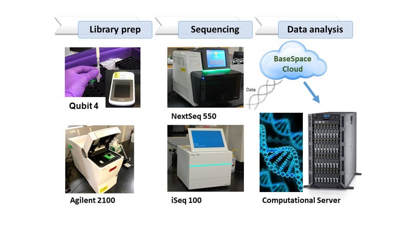 Image showing overview of the workflow from Library Prep to Sequencing to Data Analysis