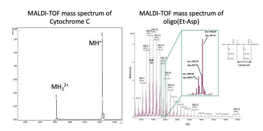 Examples of the Bruker Autoflex mass spectrum results