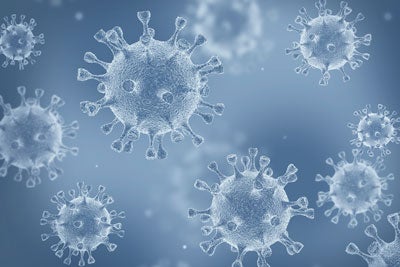 Microscopic image of the coronavirus