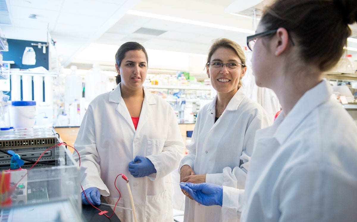 Students in the a lab working with a professor