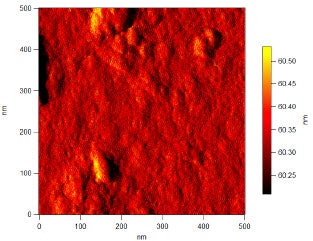 Membrane topography