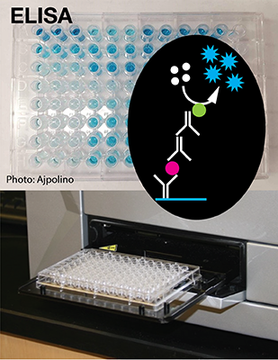 image of the ELISA equipment