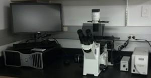 Olympus IX51 Inverted Microscope