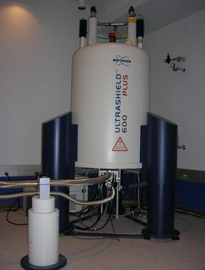 Bruker 600 MHz Spectrometer (CBIS)