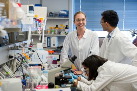 Three students in a lab, consulting over a microscope