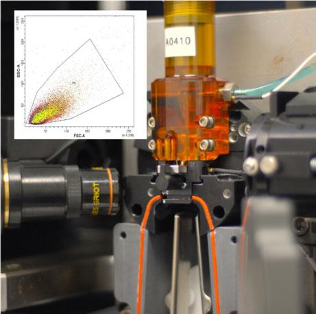 Flow cytometry equipment with an example of the results.