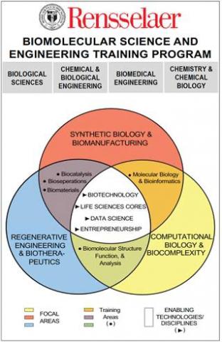 Venn diagram of the different courses in the BME training program