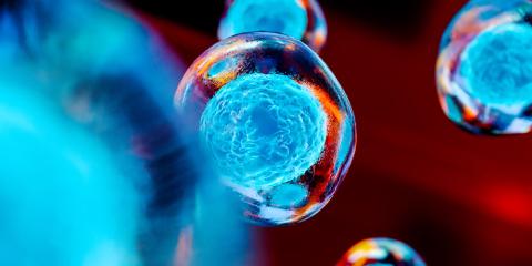 Colorized microscopic images of molecules