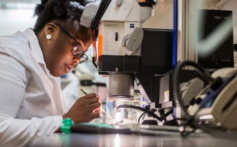 Student working in front a microscope in a lab
