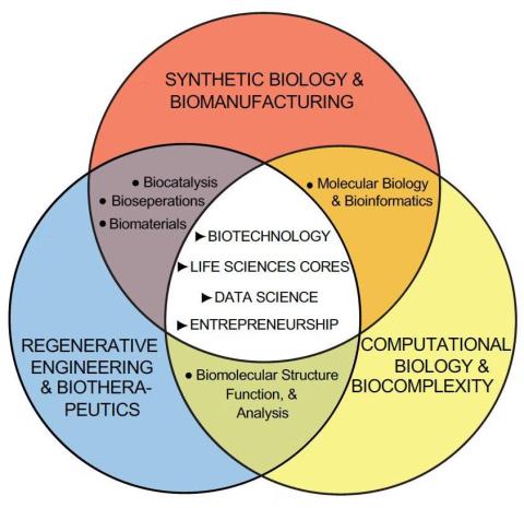 Overview of Predoctoral Training program
