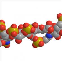Graphical representation of the synthetic Version of Heparin