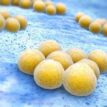 Image of protein streptavidin
