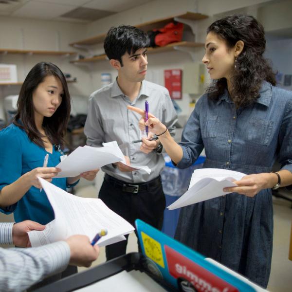 Students work with a doctor at Mount Sinai