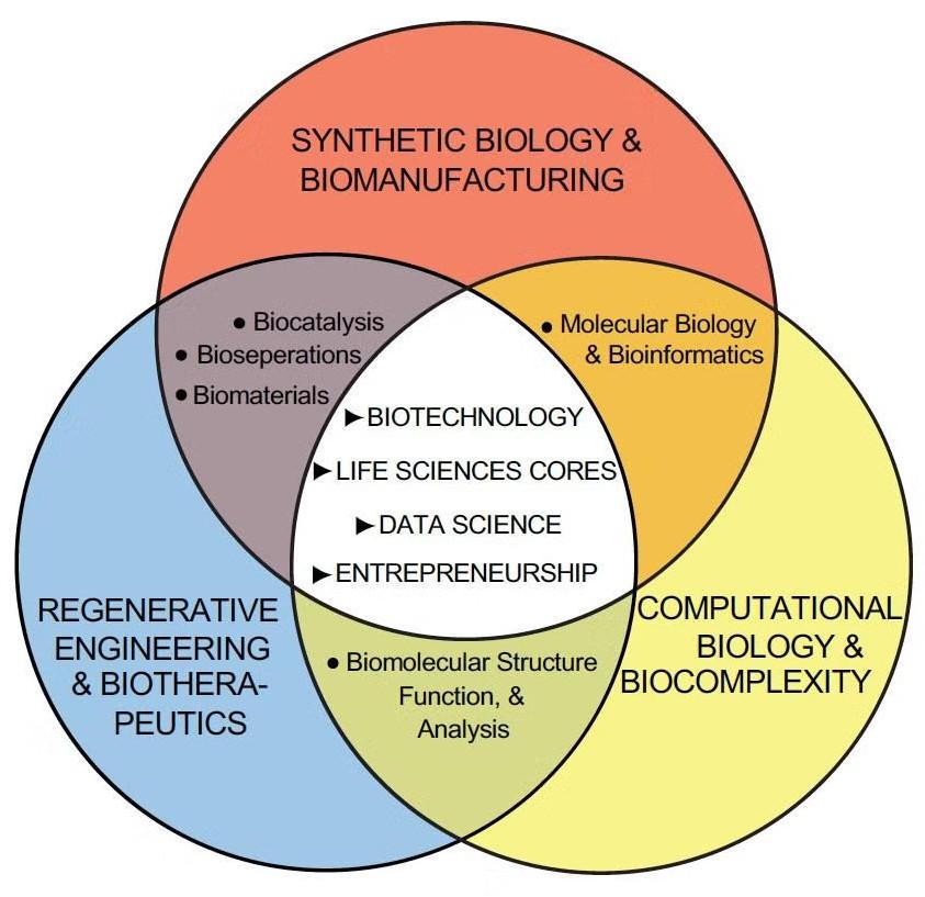 Overview of Predoctoral Training program